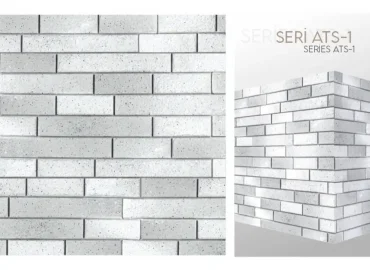 Artemis Serisi